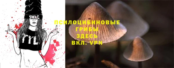 соль ск Нязепетровск