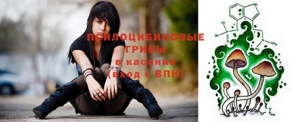 крисы Нягань