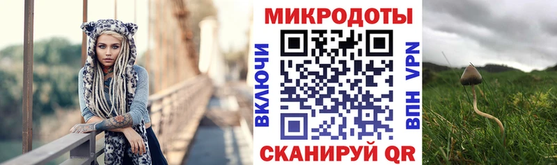 цена наркотик Ставрополь Псилоцибиновые грибы Cubensis