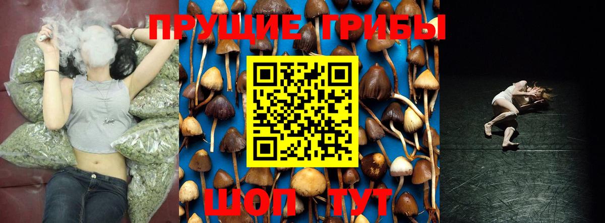 Галлюциногенные грибы Psilocybine cubensis  Вход с VPN  Ставрополь 